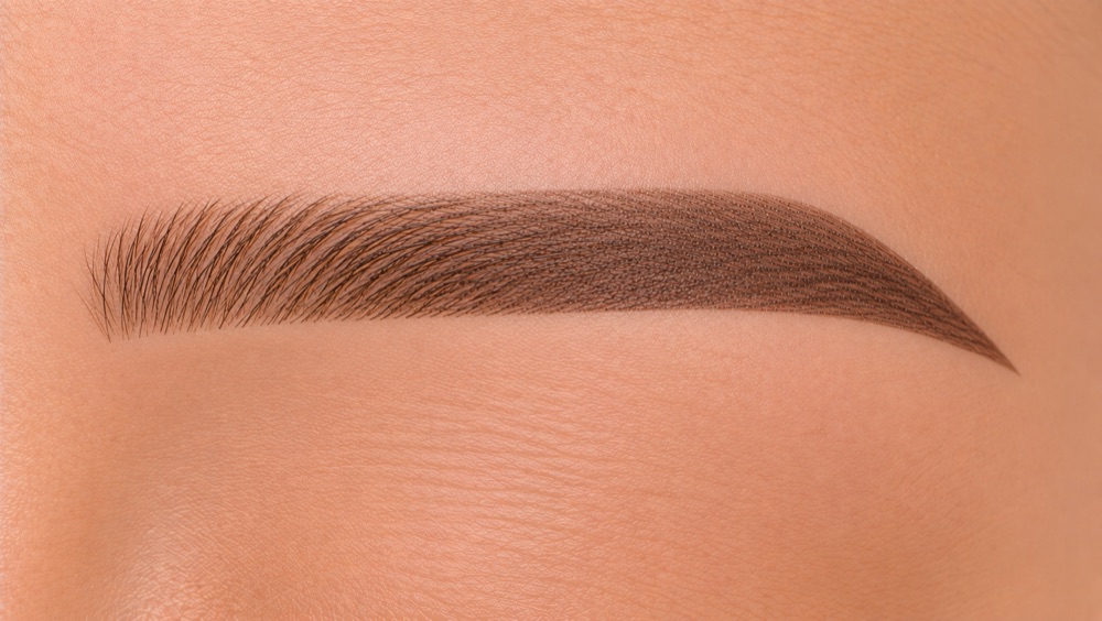 Powder ombre brows
